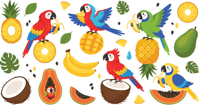 Tropical parrots and exotic fruits illustration set with pineapple banana coconut papaya mango and colorful jungle bird characters collection