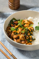 Fototapeta premium Spicy Asian Ginger Coconut Chicken and Rice