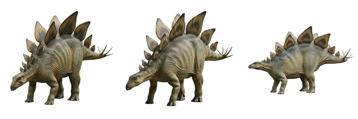 Set of Stegosaurus Dinosaur Transparent Background PNG © Chr