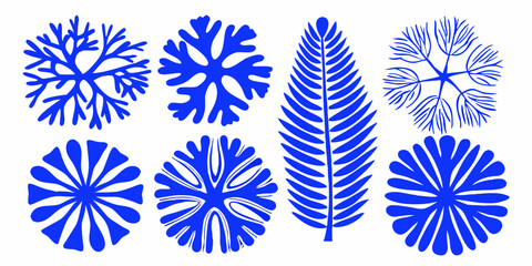 Blue botanical illustrations of various leaf and fern shapes © Prosanta