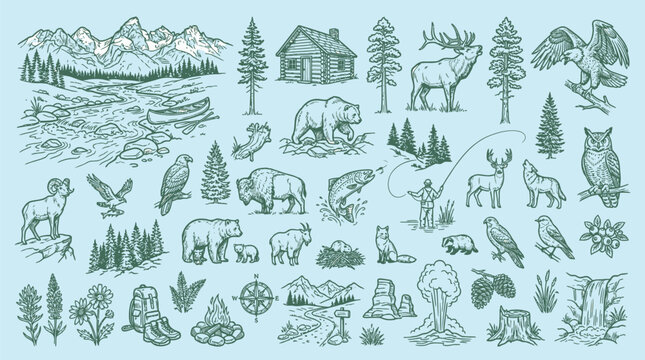 Hand-drawn vintage-style illustrations depicting various elements of wilderness, forest animals, trees, mountains, and outdoor activities.