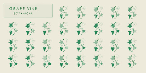 Botanical illustration of a repeating grape vine pattern in green tones © Satyajit