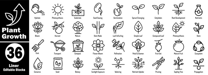 Plant growth cycle line art icons set. Representing germination to mature plant stages, including watering, sunlight, and harvesting, isolated vector illustration. © Hafiz