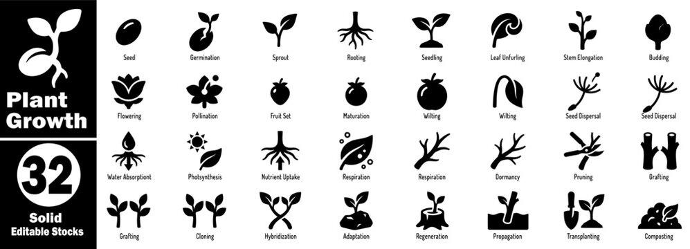 Plant growth solid icons set. Showing seed germination, seedling root system, leaf, stem, bud, flower, fruit, pollination maturity, wilting, dispersal vector illustration.