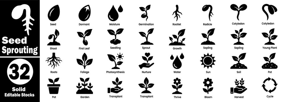 Seed sprouting icons set. Collection of seed, dormant, moisture, germination, rootlet, radicle, cotyledon, shoot, first leaf, seedling, sprout vector illustration.