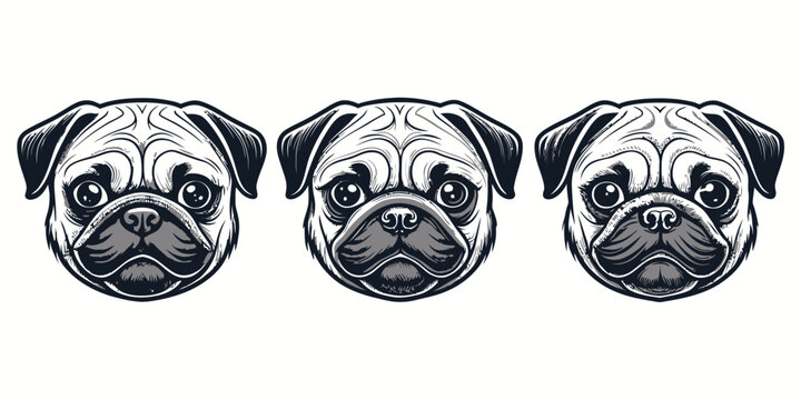 Cute pug dog vector collection showcasing three distinct head portraits with various playful expressions and color variations on a clean background.