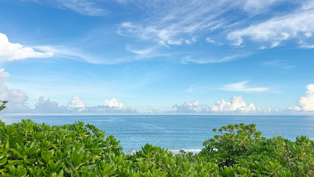Panoramic view of dense coastal windbreak vegetation along the deep blue Pacific Ocean, Hualien, Taiwan