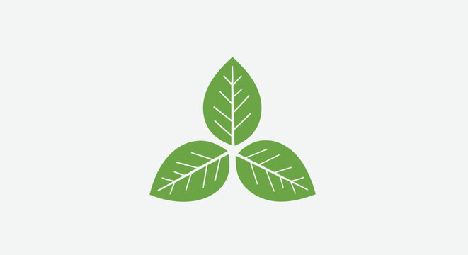 Three Green Leaves Illustration Design Element.