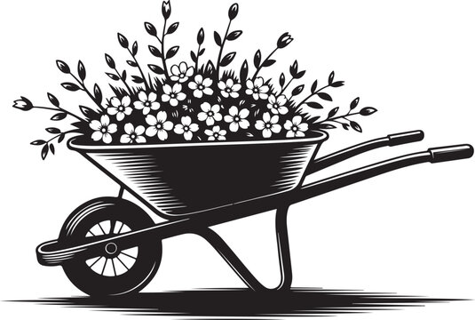 Black wheelbarrow filled with white flowers and leaves