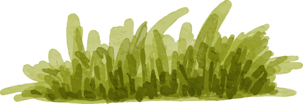 Green Grass Abstract Background