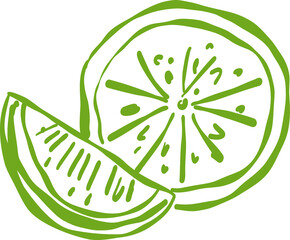 Obraz premium Fresh Green Lime Slice and Wedge Hand Drawn Style