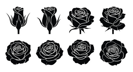 Collection of black rose buds and blooms in a striking silhouette © Abir