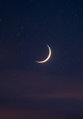 Naklejka premium Celestial Crescent's Embrace