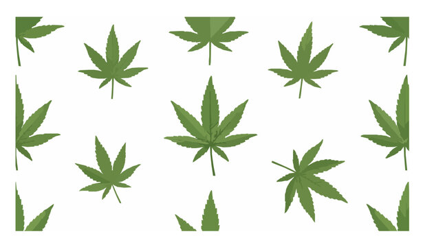 Green cannabis leaf pattern vector background with botanical marijuana leaves seamless style design