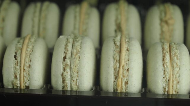 Rows of vanilla macarons with cream filling, delicious gourmet dessert pastry in close up view