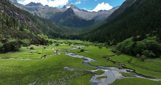 Aerial footage of beautiful alpine grassland and forest mountain landscape