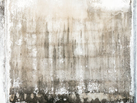 Grungy weathered concrete wall with dark water stains and mold texture, industrial background