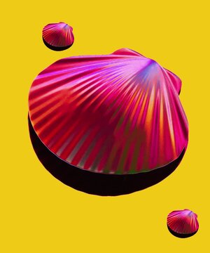 a very expensive red clam