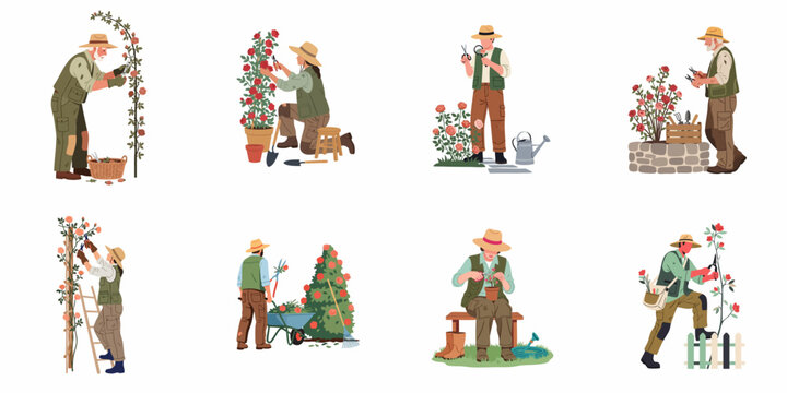 Set of flat vector illustrations featuring diverse gardeners pruning, planting, and caring for various types of rose bushes and flowers in garden settings.
