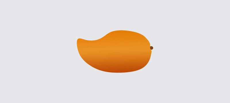 Mango Fruit Vector Illustration Isolated on Background.