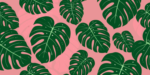 Tropical monstera leaves pattern on a soft pink background © Anik