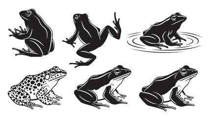 Fototapeta premium Set of 6 frog icons vector, black and white illustrations