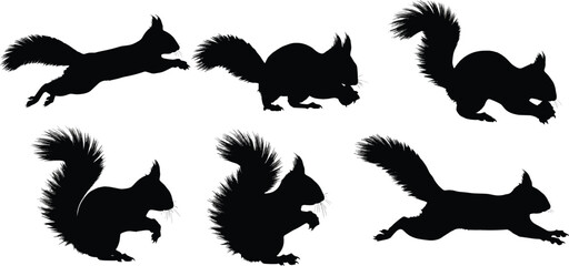 Red squirrel silhouette collection. Forest rodent wildlife vector set. Black isolated squirrel poses jumping, running and sitting with bushy tail. © Olivia