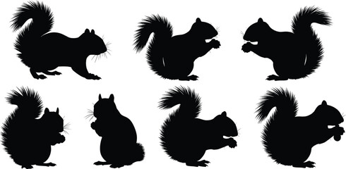 Grey squirrel silhouette set. Woodland rodent wildlife vector collection. Black isolated squirrel poses sitting, eating and holding nut with fluffy tail. © Olivia