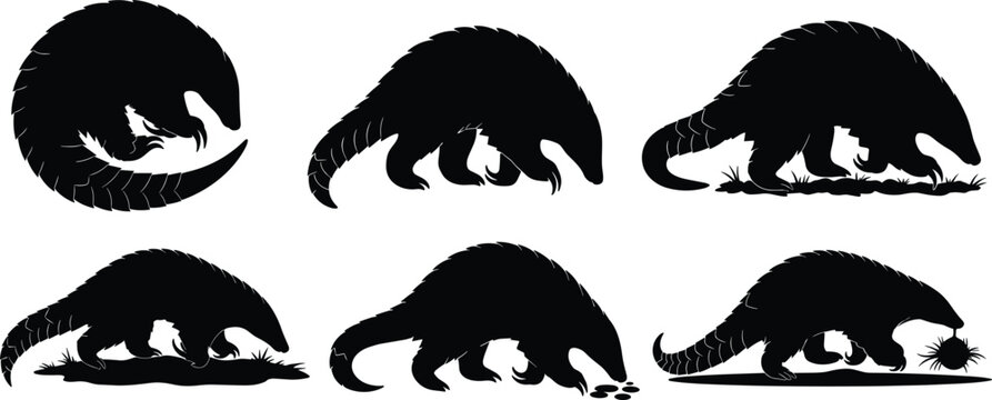 Pangolin wildlife silhouette set. Scaly anteater mammal vector collection. Black isolated pangolin animals foraging, walking and curled poses.