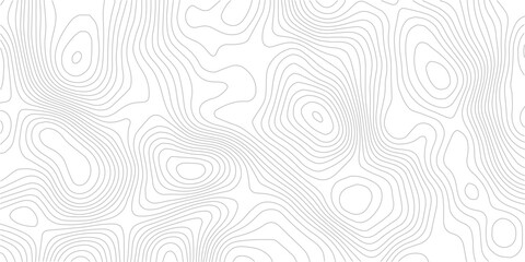 Topographic map seamless pattern contour lines on white background vector illustration for cartography and geography projects © Romana