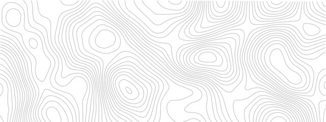 Fototapeta premium Topographic map seamless pattern contour lines on white background vector illustration for cartography and geography projects