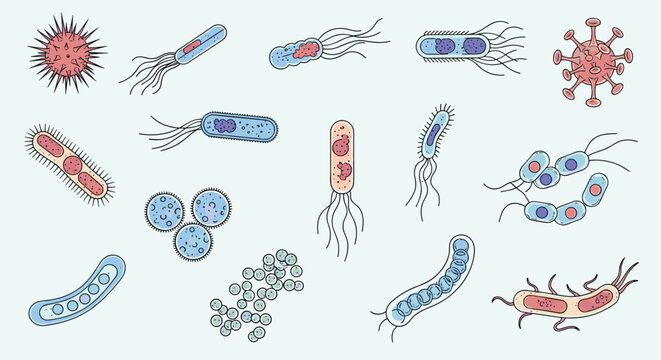 Diverse array of colorful microscopic organism illustrations including various types of bacteria, viruses, germs, and infectious pathogens.