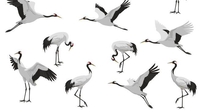 Artistic group of red crowned cranes in natural poses such as flying, standing, and preening in a minimalist oriental graphic style.