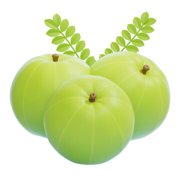 PNG 3D Amla Illustration Isolated on a Transparent Background
