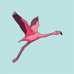 A brightly colored flamingo in mid-flight against a light blue backdrop © Barkun