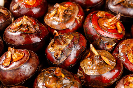 Fresh Roasted Water Chestnuts from Guangxi China - Healthy Red Skin Studio Food Photography