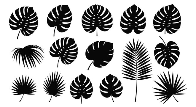 Collection of black silhouettes of various tropical leaves including monstera and palm fronds for exotic botanical designs.