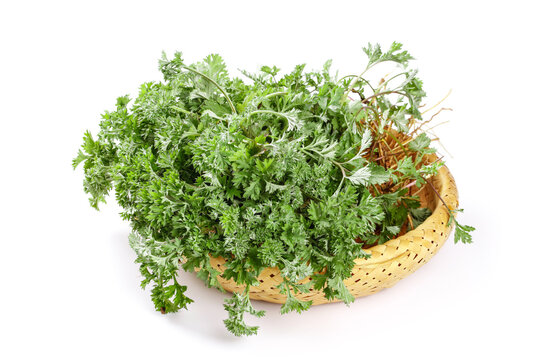 Traditional Chinese Wild Herbs Freshly Harvested in Bamboo Basket for Medicine