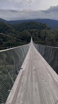 Vast wooden suspension bridge through a lush tropical rainforest canopy, providing an an immersive eco-tourism experience and thrilling adventure travel.