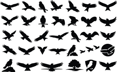 Fototapeta premium 30 Red Kite Bird Solid Black Silhouette Icons Set on White Background