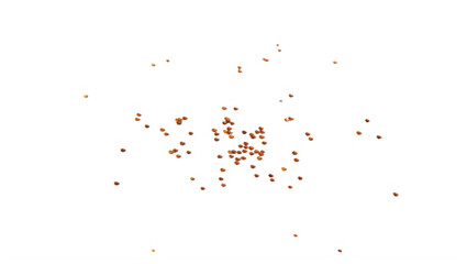 Fototapeta premium Many small brown coffee beans scattered on a surface transparent background