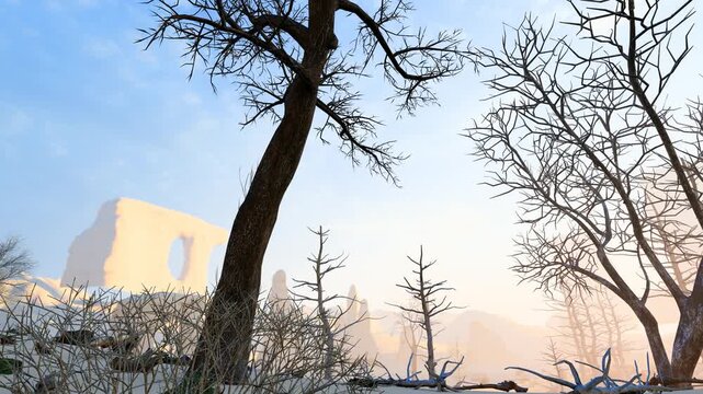 Vegetation destruction leads to desertification and dead trees