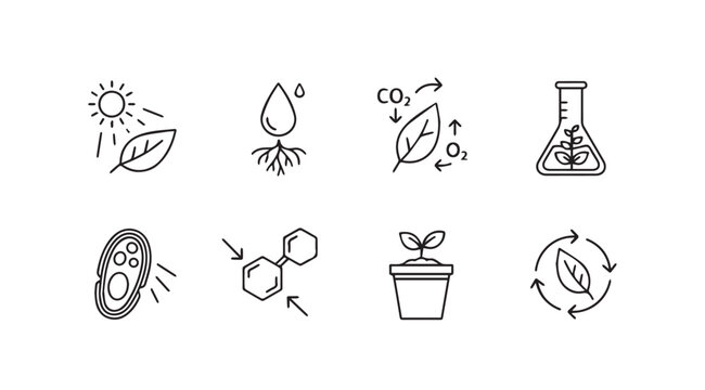 Plant Science Icons: Photosynthesis Water CO2 Growth Lab Biology Cycle