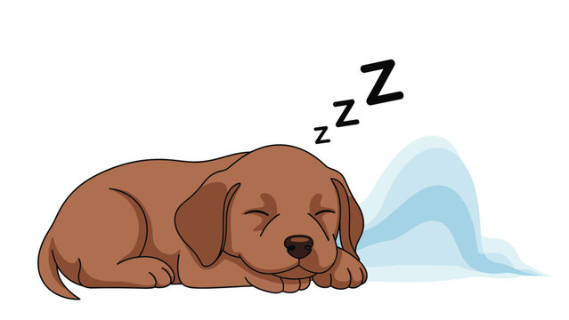 Small brown puppy dog sleeping soundly on its stomach with cartoon z symbols and a light blue wave pattern in the background.