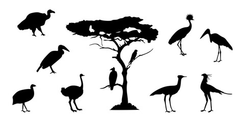 Silhouette of African bird collection with acacia tree. Wildlife set featuring ostrich, crane, heron and vulture. African savanna landscape wildlife element for natural design. © Helena