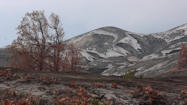 Wide shot of Volcanic Erosion Gullies on Mount Bromo Slopes, Bromo Tengger Semeru National Park, East Java Indonesia
