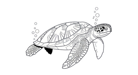 Sea turtle swimming in the ocean. © Mangnu