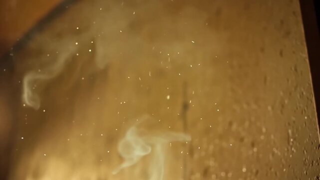 Microscopic view of tiny organisms.