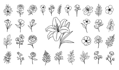 A collection of black and white line art flowers and leaves © Hacar