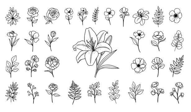 A collection of black and white line art flowers and leaves
